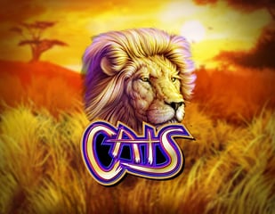 IGT - Cats