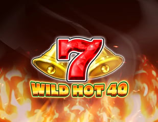 Fazi - Wild Hot 40 Christmas