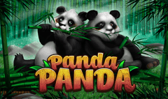 Habanero - Panda Panda