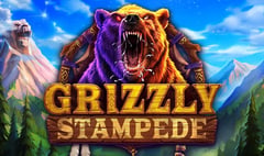 ELK - Grizzly Stampede