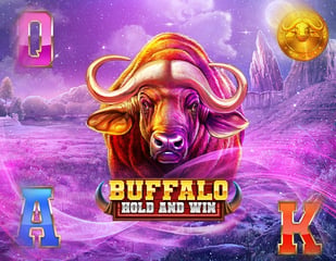Booming Games - Buffalo Hold and Win