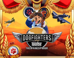 ReelPlay - Dogfighters – Their Finest Hour
