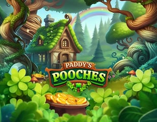 Indigo Magic - Paddy’s Pooches