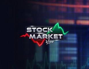 Evolution - Stock Market