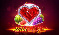 Endorphina - Wild Love