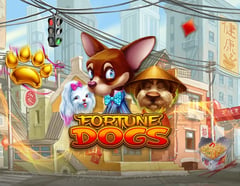 Habanero - Fortune Dogs