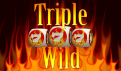 e-gaming - Triple Wild Seven Dice