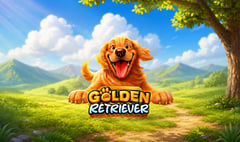Pragmatic Play - Golden Retriever