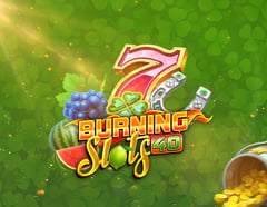 BF Games - Burning Slots 40